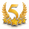 5 star review handyman 321